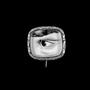Too Close For Comfort (Explicit)