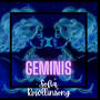 Geminis