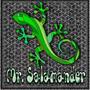 Mr. Salamander (feat. Jake Cinninger)