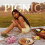 Picnic (Explicit)