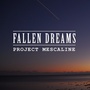 Fallen Dreams