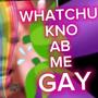 WHATCHU KNO ABOUT ME (Gay Remix) [Explicit]