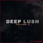 DEEP LUSH VOL 2