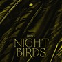 Night Birds