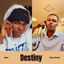 Destiny (Explicit)