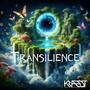 Transilience