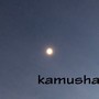 kamusha