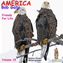 America, Vol. 15. Friends for Life