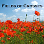 Fields of Crosses