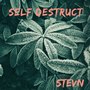 Self Destruct