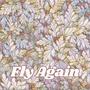 Fly Again