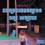 CONSCiOUSNE$$ $HE WROTE (Explicit)