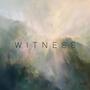 Witness (feat. David Jones)