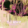 Stray