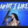 Wat I Like (feat. Tommy Flee, Kayse Cash & Fetty Luciano) [Explicit]