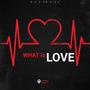 What is Love (feat. Meech La'flare, Norman Perry, The Girl Next Door, Lex Aura, RIZ, 451, Eloy, NauXore, V21, Calboy & Valee)