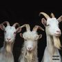 Goat (Explicit)