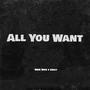 All You Want (Explicit)