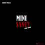 Mini Sane? (Explicit)