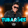 Tubarões