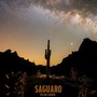 Saguaro