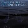 Constilate Self Love (feat. Spectre Falling) [Explicit]