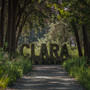 Clara