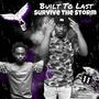 Built To Last, Survive The Storm, Vol. 1 (Explicit)