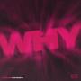 WHY (feat. Shortie) [Explicit]