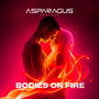 Bodies On Fire