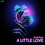 A Little Love (Radio Edit)