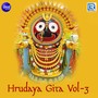 Hrudaya Gita, Vol. 3