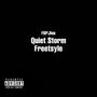 Quiet Storm Freestyle (Explicit)