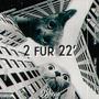 2 Fur 22' (Explicit)