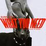 WHAT YOU NEED (Explicit)