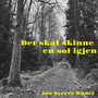 Det skal skinne en sol igjen