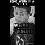 Weird Sound (Explicit)