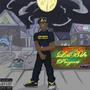 LaBih Project (Explicit)
