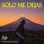 Solo Me Dejas (Remix)