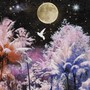 In The Silence (Explicit)