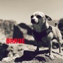 Brave (Explicit)