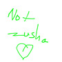 Not Zusha