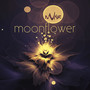 Moonflower