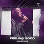 Feeling Good (feat. Damian Roos) [Radio Edit]