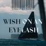 Wish on an Eyelash