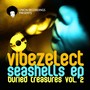 Buried Treasures Vol. 2 Seashells