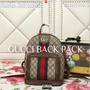 Gucci Back Pack (Explicit)