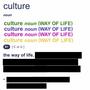 culture (feat. Koill) [Explicit]