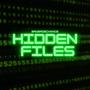 hidden files (Explicit)