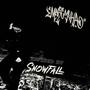 SnowFall (feat. 